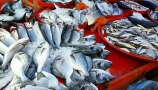 仰光金紫檀鱼市场